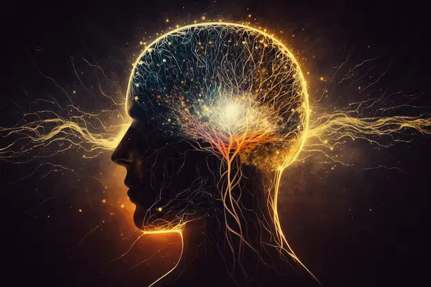 What is Consciousness: A Beginner