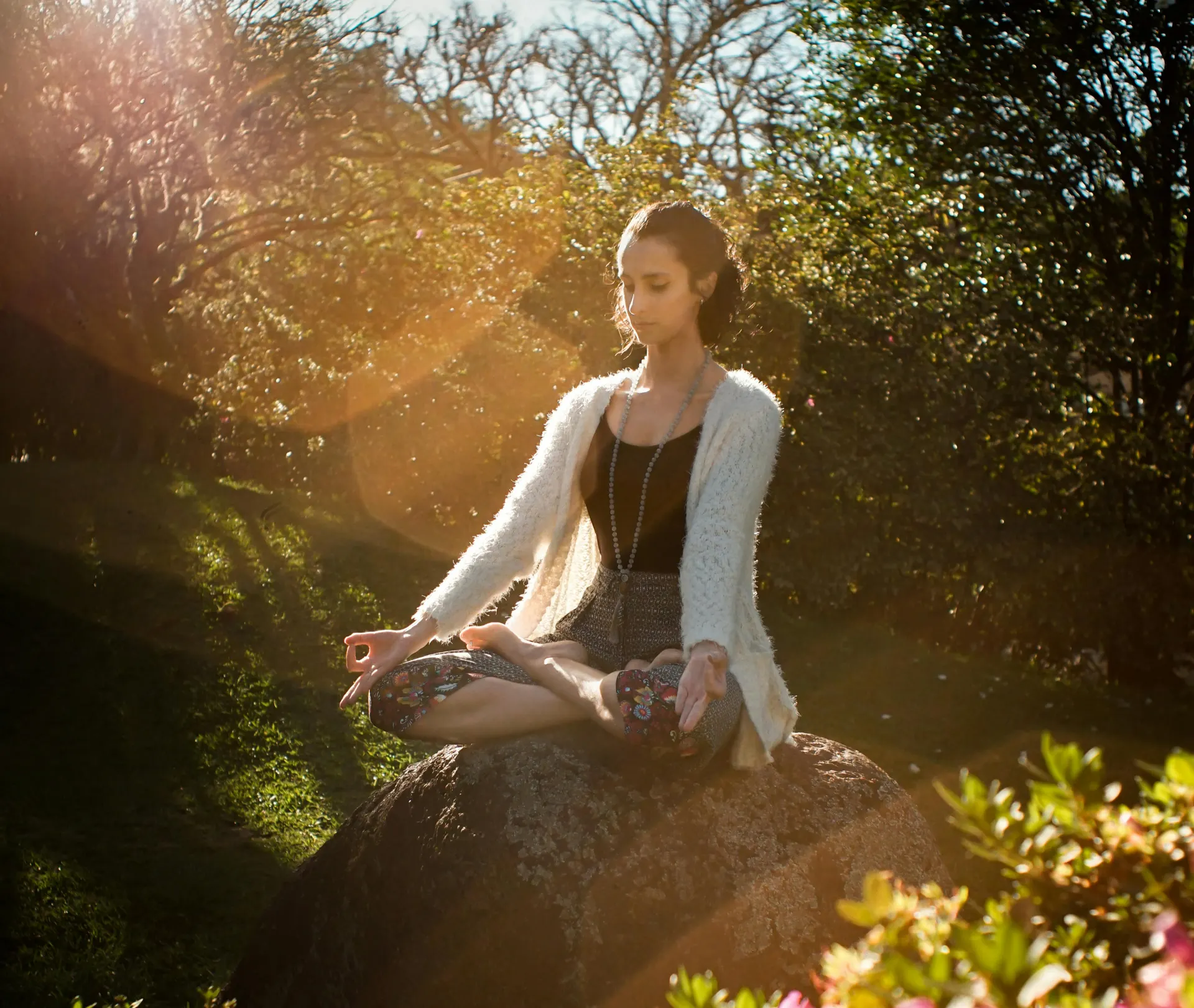 Mind Power Meditation