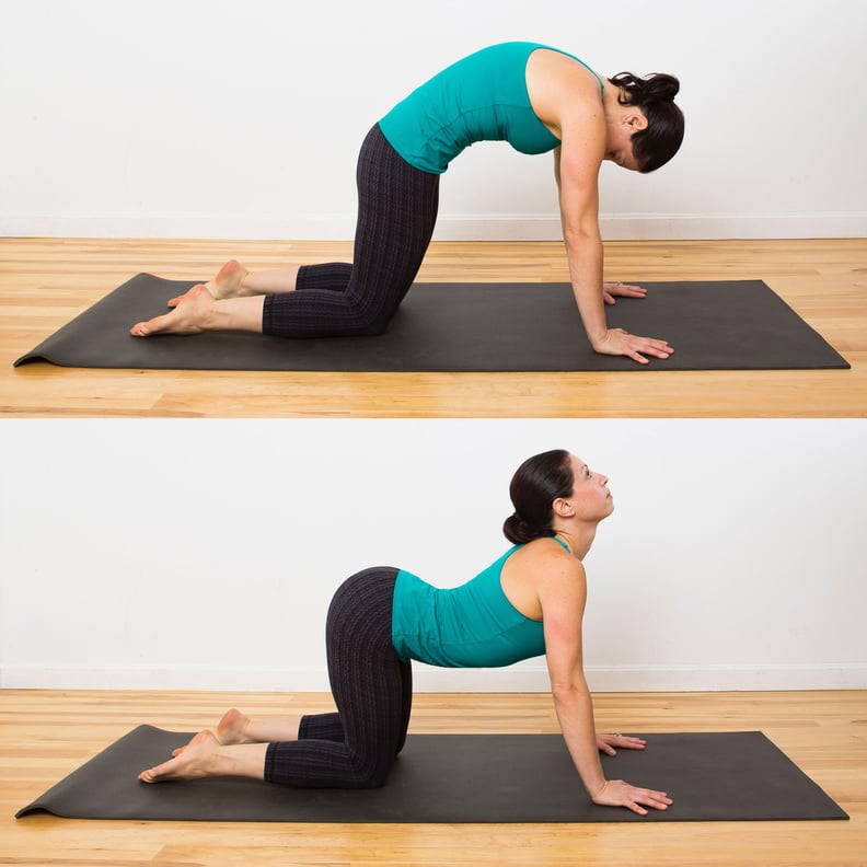 yoga for high bp - Cat-Cow Stretch (Marjaryasana-Bitilasana)